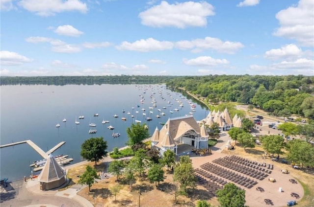 4520 Nicollet Ave, Minneapolis, MN 55419 - bird's eye view of a nearby body of water and a heavily wooded area