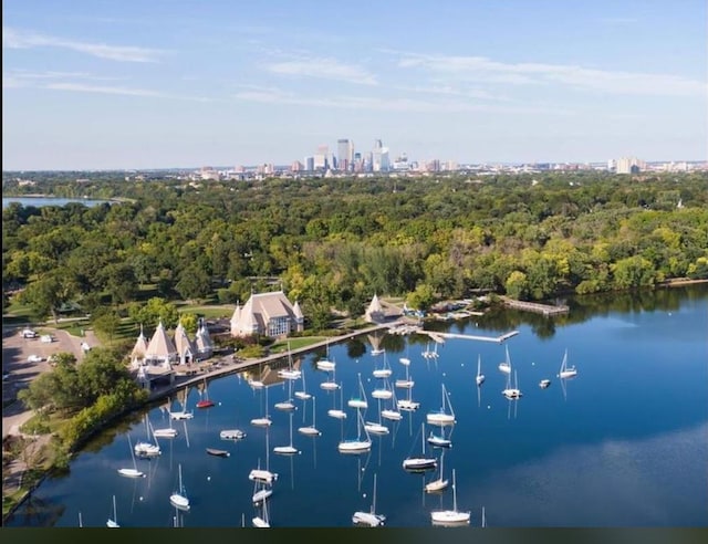 4520 Nicollet Ave, Minneapolis, MN 55419 - aerial view of property's location with a large body of water and a heavily wooded area