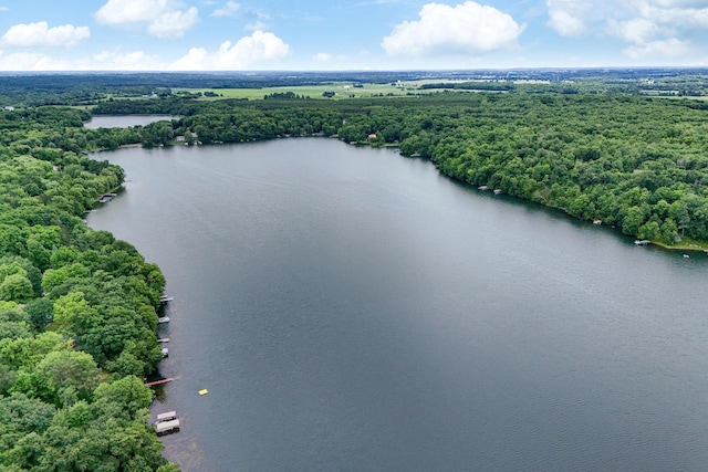 1625 Niles Ln, Balsam Lake Twp, WI 54824 - aerial view of a forest and a large body of water