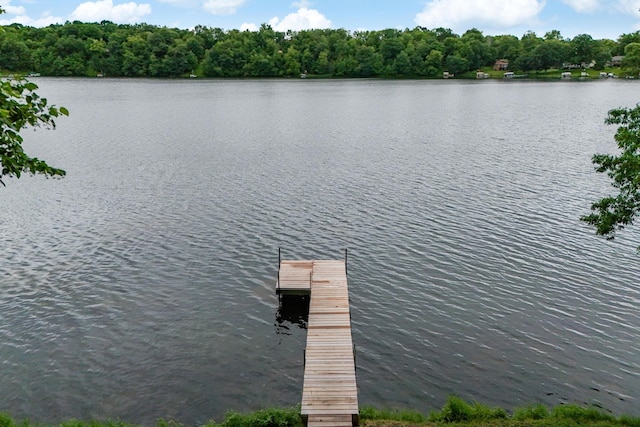 1625 Niles Ln, Balsam Lake Twp, WI 54824 - dock with a water view