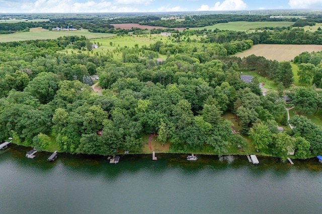 1625 Niles Ln, Balsam Lake Twp, WI 54824 - aerial view of property and surrounding area with a large body of water