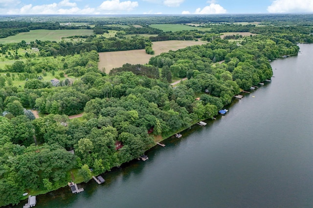 1625 Niles Ln, Balsam Lake Twp, WI 54824 - aerial view of a large body of water