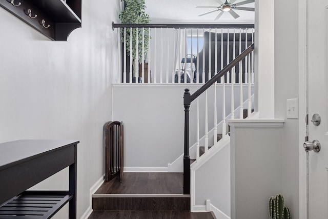 6845 Christian Curv, Woodbury, MN 55125 - stairway with a ceiling fan and wood finished floors