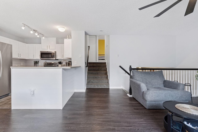 6845 Christian Curv, Woodbury, MN 55125 - kitchen with stainless steel appliances, a ceiling fan, a textured ceiling, dark wood-type flooring, and open floor plan