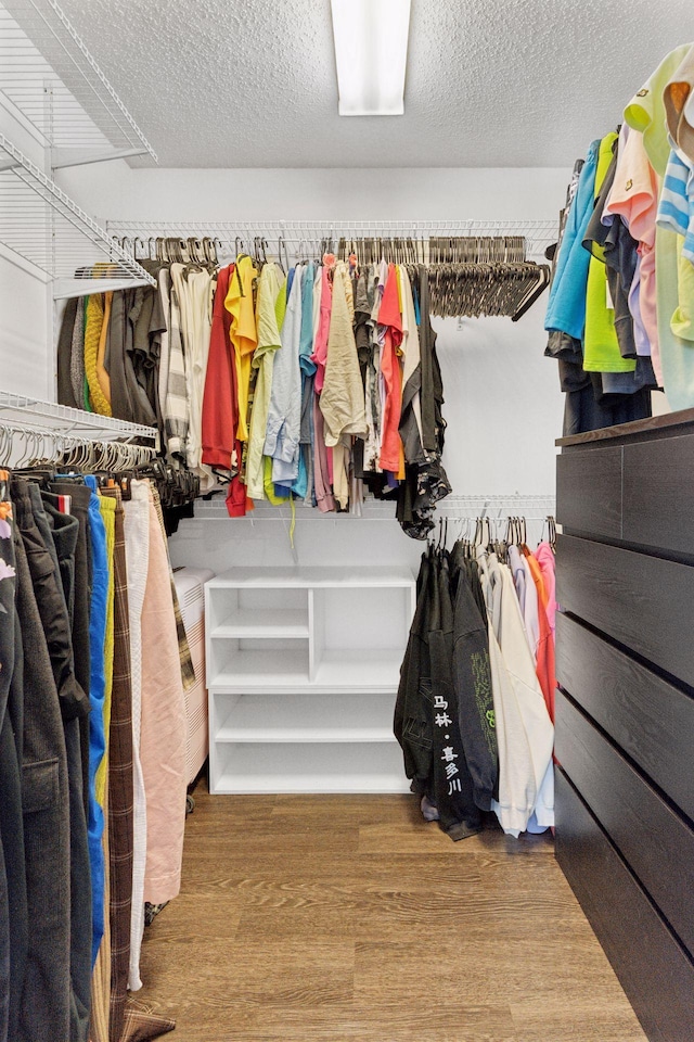 6845 Christian Curv, Woodbury, MN 55125 - walk in closet featuring wood finished floors