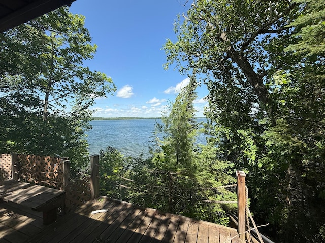 905 Loon Song Ln NE, Bemidji, MN 56601 - photo 2