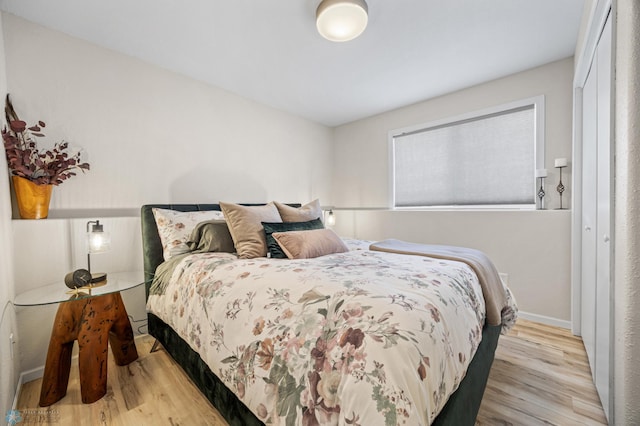 1623 10th St W, West Fargo, ND 58078 - bedroom with wood finished floors and baseboards