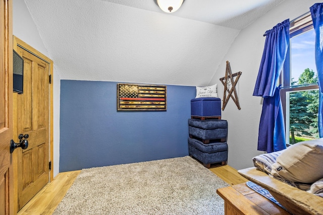 28040 Csah 25, Swede Grove Twp, MN 56243 - living room featuring lofted ceiling, light wood-type flooring, a textured ceiling, and a textured wall