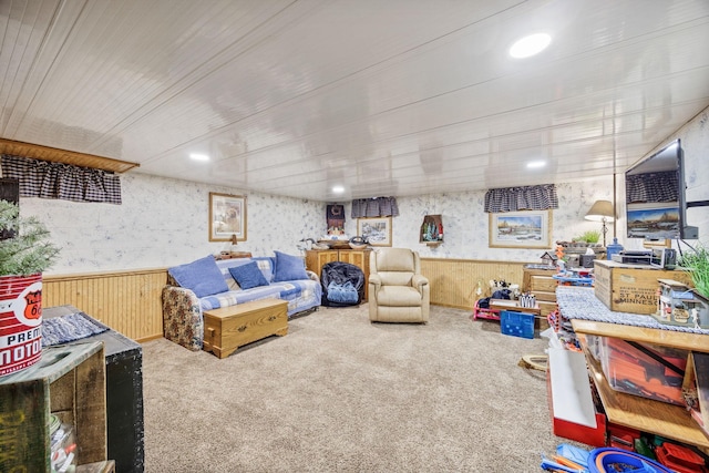 28040 Csah 25, Swede Grove Twp, MN 56243 - living room featuring carpet floors, a wainscoted wall, and wooden walls