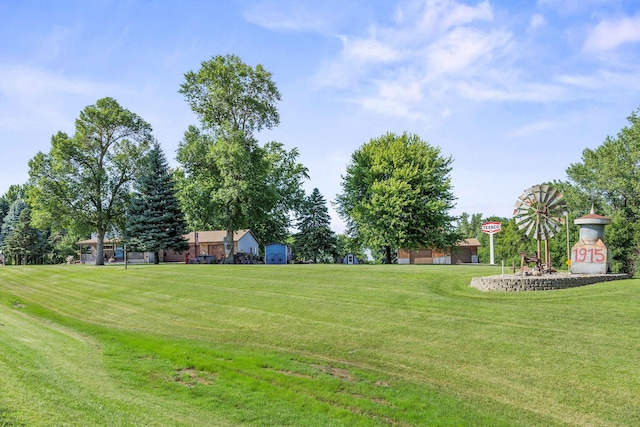 28040 Csah 25, Swede Grove Twp, MN 56243 - view of green lawn