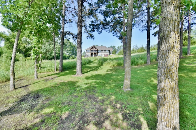 26888 734th Ave, Dassel Twp, MN 55325 - view of grassy yard