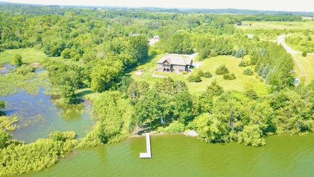 26888 734th Ave, Dassel Twp, MN 55325 - aerial view of property and surrounding area with a large body of water
