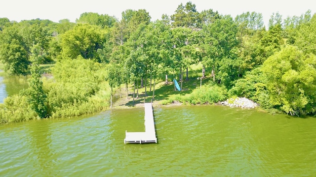 26888 734th Ave, Dassel Twp, MN 55325 - dock with a water view