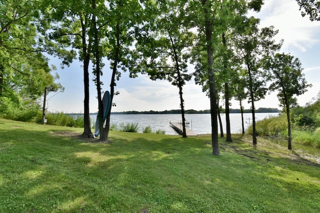 26888 734th Ave, Dassel Twp, MN 55325 - water view with a dock