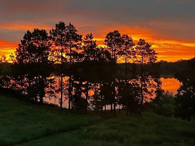26888 734th Ave, Dassel Twp, MN 55325 - water view