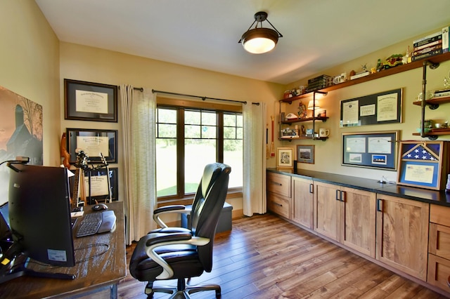 26888 734th Ave, Dassel Twp, MN 55325 - office space with light wood-type flooring