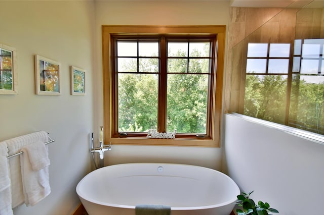 26888 734th Ave, Dassel Twp, MN 55325 - full bath featuring a freestanding tub