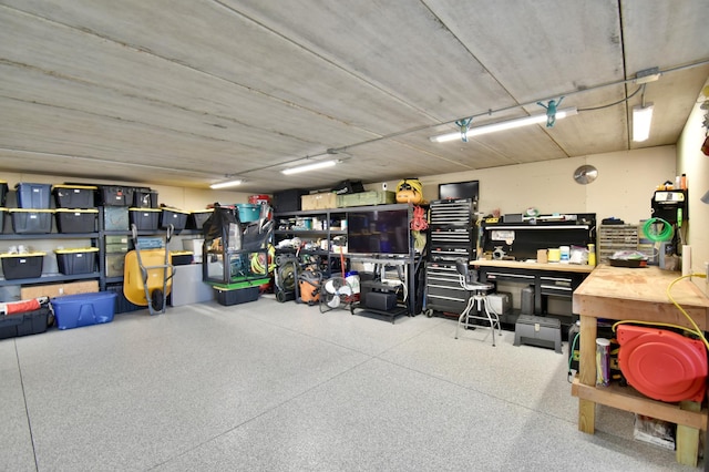 26888 734th Ave, Dassel Twp, MN 55325 - garage featuring a workshop area