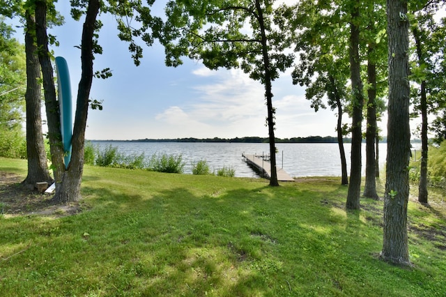 26888 734th Ave, Dassel Twp, MN 55325 - water view with a dock