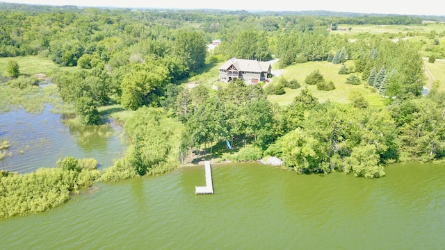 26888 734th Ave, Dassel Twp, MN 55325 - aerial view of property and surrounding area featuring a nearby body of water and a heavily wooded area