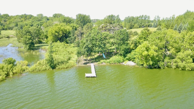 26888 734th Ave, Dassel Twp, MN 55325 - drone / aerial view of a large body of water