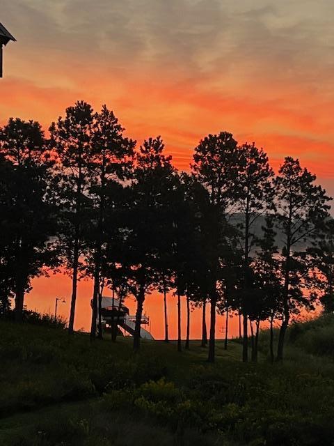 26888 734th Ave, Dassel Twp, MN 55325 - view of nature at dusk