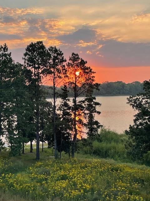 26888 734th Ave, Dassel Twp, MN 55325 - nature at dusk with a water view
