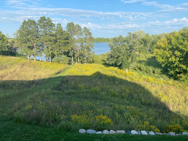 26888 734th Ave, Dassel Twp, MN 55325 - view of yard with a water view and a forest view