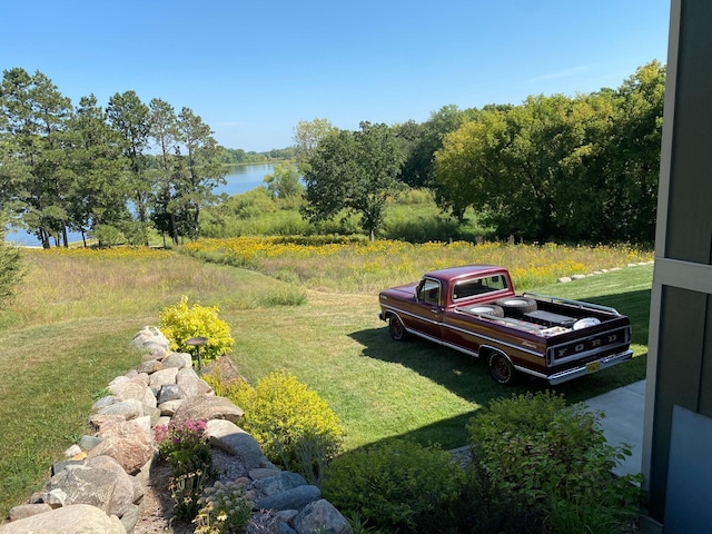 26888 734th Ave, Dassel Twp, MN 55325 - view of grassy yard featuring a water view