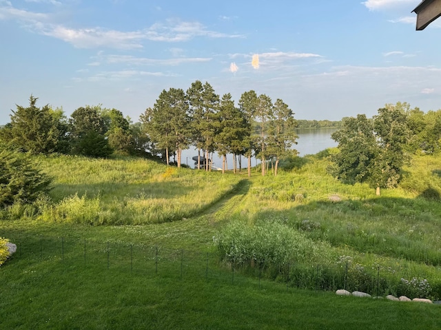 26888 734th Ave, Dassel Twp, MN 55325 - view of yard with a water view