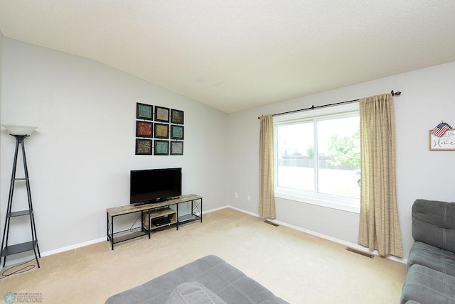 2441 60th Ave S, Fargo, ND 58104 - living area featuring carpet floors and lofted ceiling