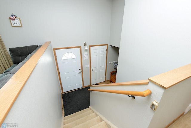 2441 60th Ave S, Fargo, ND 58104 - staircase with carpet and baseboards