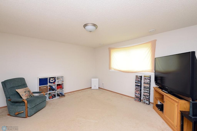 2441 60th Ave S, Fargo, ND 58104 - living area with carpet floors and a textured ceiling