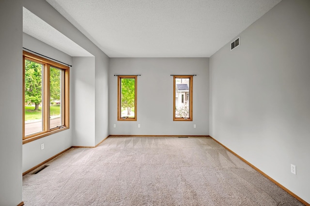 8798 Fountain Ln N, Maple Grove, MN 55311 - empty room featuring healthy amount of natural light, light colored carpet, and a textured ceiling
