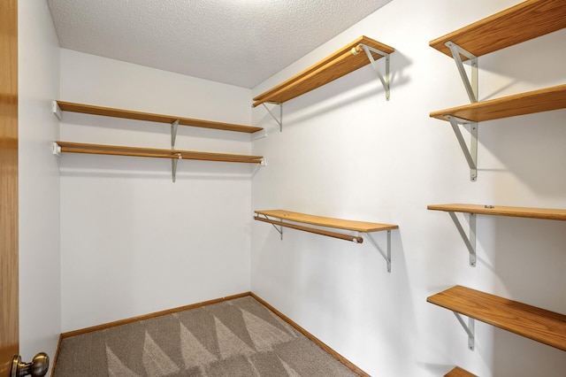 8798 Fountain Ln N, Maple Grove, MN 55311 - walk in closet featuring carpet
