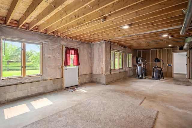 8798 Fountain Ln N, Maple Grove, MN 55311 - below grade area with healthy amount of natural light