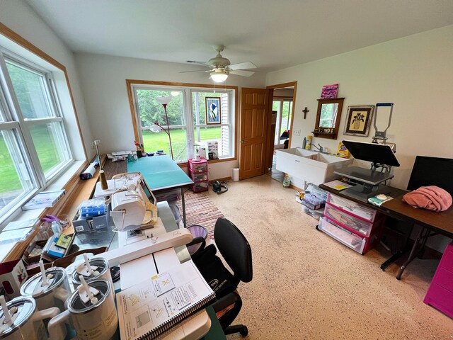 16521 Silver Ln NW, Evansville, MN 56326 - photo 39