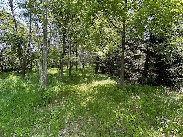 16521 Silver Ln NW, Evansville, MN 56326 - photo 52