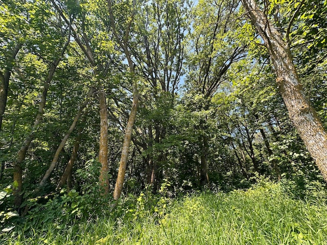 16521 Silver Ln NW, Evansville, MN 56326 - photo 60