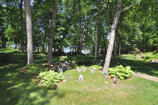 21079 Foothill Trl, Akeley, MN 56433 - photo 49