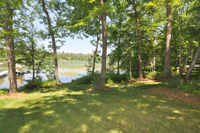 21079 Foothill Trl, Akeley, MN 56433 - photo 50