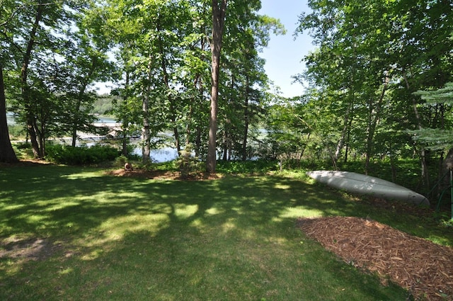 21079 Foothill Trl, Akeley, MN 56433 - photo 54