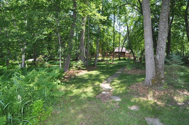 21079 Foothill Trl, Akeley, MN 56433 - photo 55