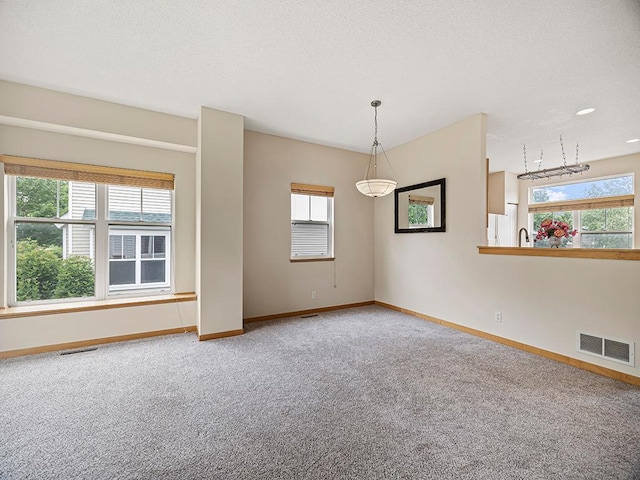 906 New Century Blvd S, Maplewood, MN 55119 - empty room featuring carpet floors and plenty of natural light