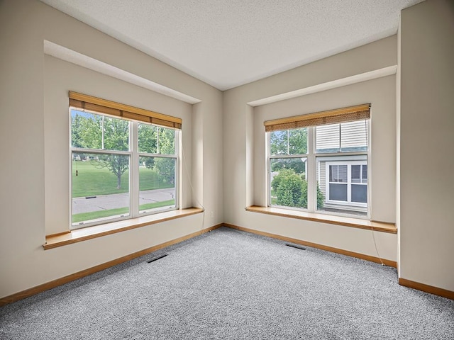 906 New Century Blvd S, Maplewood, MN 55119 - empty room with carpet flooring, plenty of natural light, and a textured ceiling