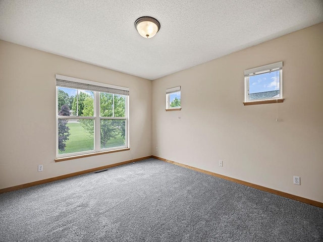 906 New Century Blvd S, Maplewood, MN 55119 - unfurnished room with carpet flooring and a textured ceiling