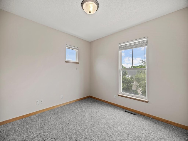 906 New Century Blvd S, Maplewood, MN 55119 - empty room with carpet and a textured ceiling