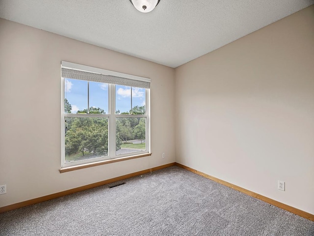 906 New Century Blvd S, Maplewood, MN 55119 - unfurnished room featuring carpet and a textured ceiling