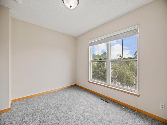 906 New Century Blvd S, Maplewood, MN 55119 - carpeted empty room with a textured ceiling