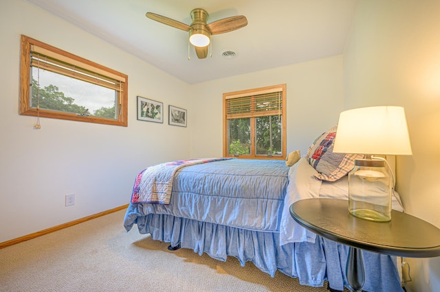 69497 233rd St, Dassel, MN 55325 - photo 10